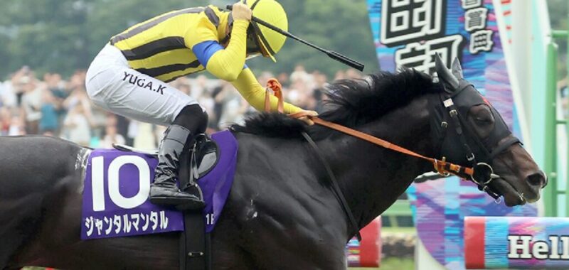 yasudakinen-tokyokeiba-2025-6-8