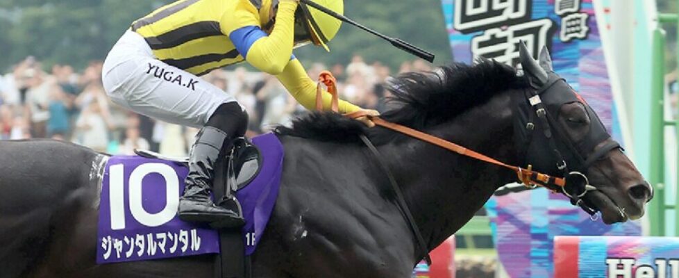 yasudakinen-tokyokeiba-2025-6-8