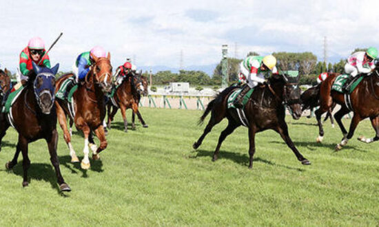 niigatakeiba-新潟競馬