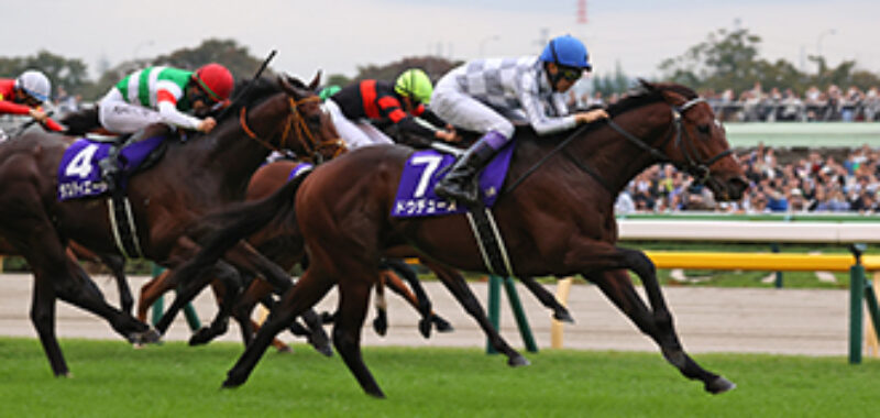 東京１１レース