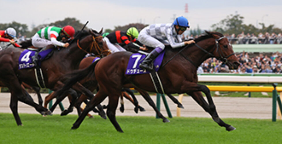 東京１１レース