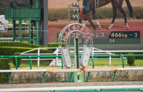 中山１１レース