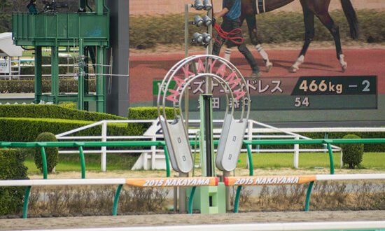 中山１１レース