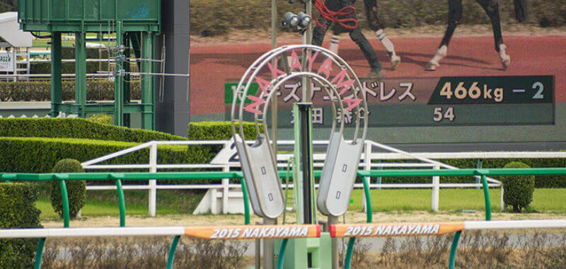 中山１１レース