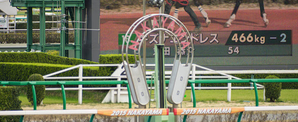 中山１１レース