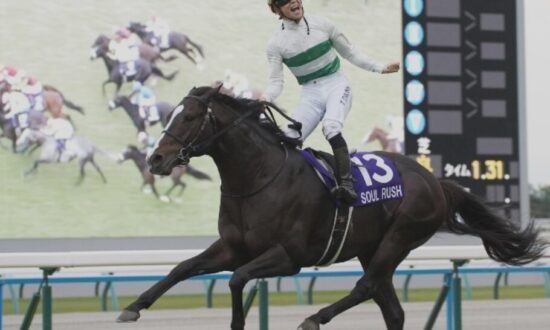 24-11-17-mairucs-soul