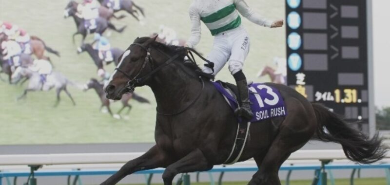 24-11-17-mairucs-soul