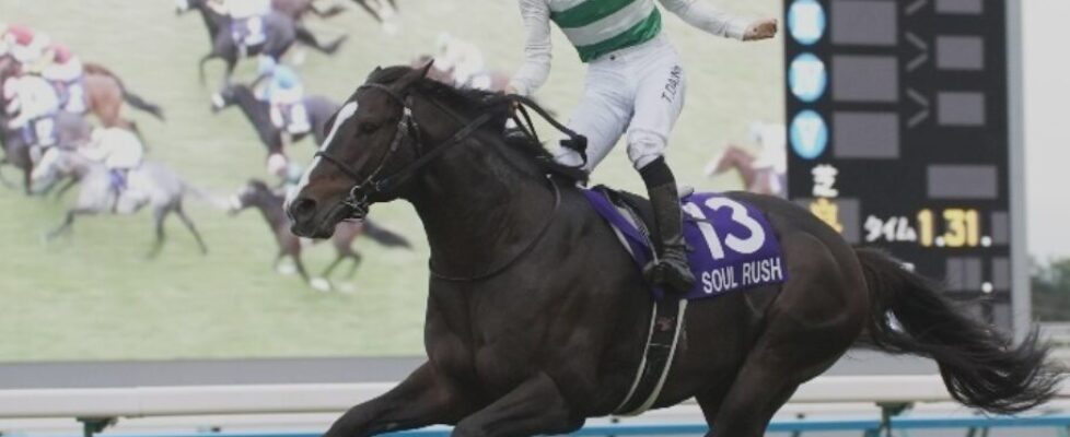 24-11-17-mairucs-soul