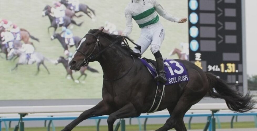 24-11-17-mairucs-soul