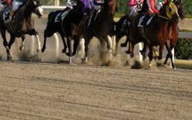 AdobeStock_303833408