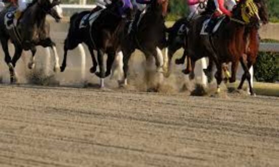 AdobeStock_303833408