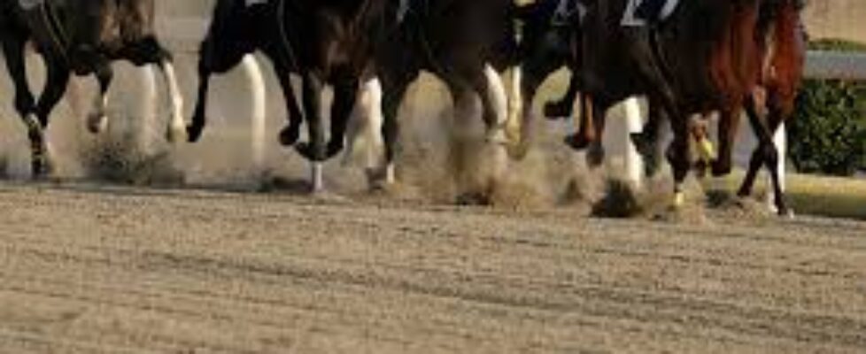 AdobeStock_303833408