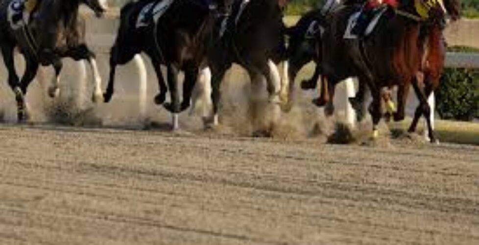 AdobeStock_303833408