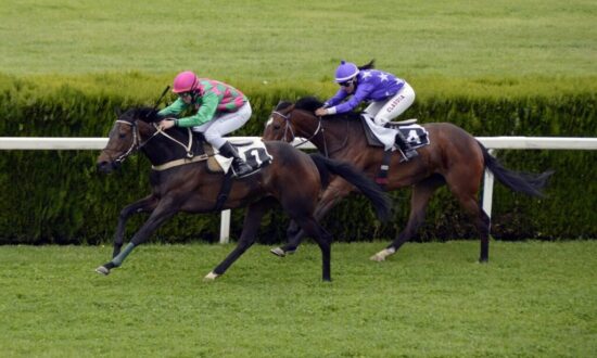 horse-racing-1577292_1280-2