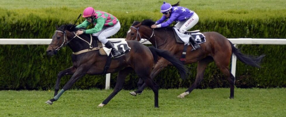 horse-racing-1577292_1280-2