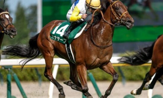 kanate-pu-カナテープ