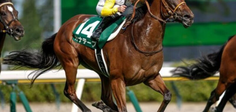 kanate-pu-カナテープ