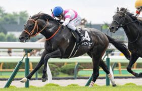 keiaisena ケイアイセナ