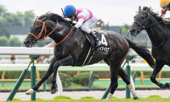 keiaisena ケイアイセナ