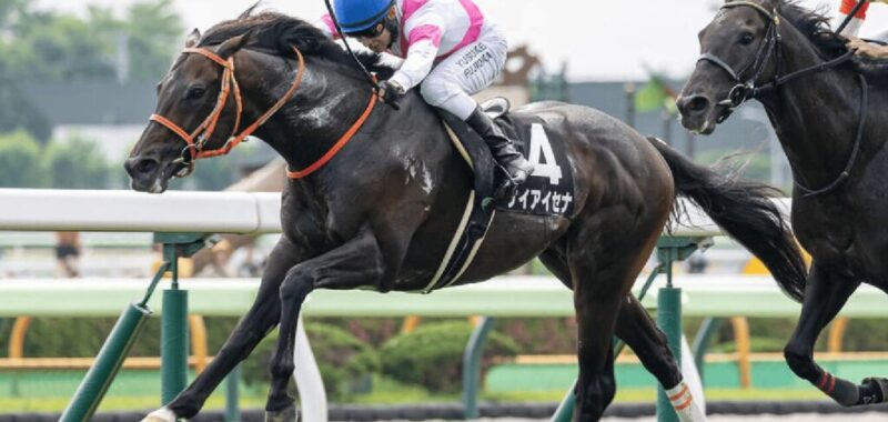 keiaisena ケイアイセナ