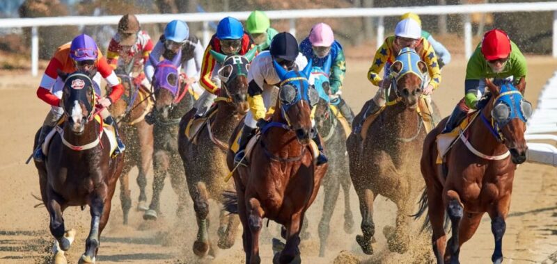 mathew-schwartz-5qRWQEdK7Sg-unsplash