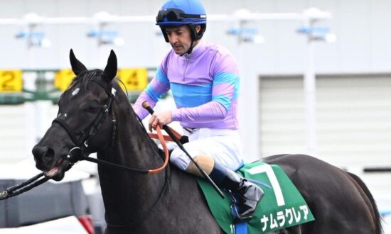 namurakurea-ナムラクレア