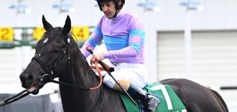 namurakurea-ナムラクレア