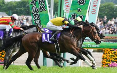 NHKマイルC　2025-5-11