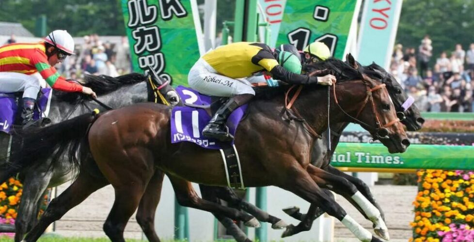 NHKマイルC　2025-5-11