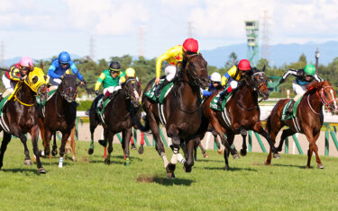 新潟記念-niigatakinen