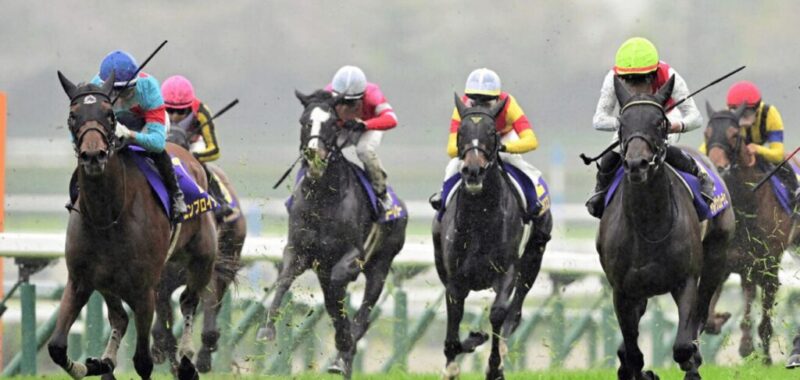 oukashou-2025-04-13-1