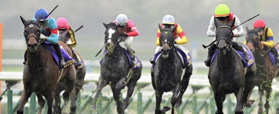 oukashou-2025-04-13-1