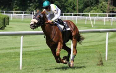 pexels-daniel-158976-1-scaled