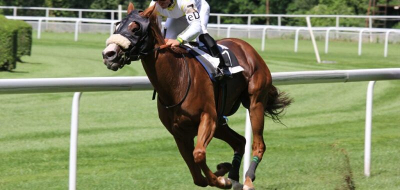 pexels-daniel-158976-scaled