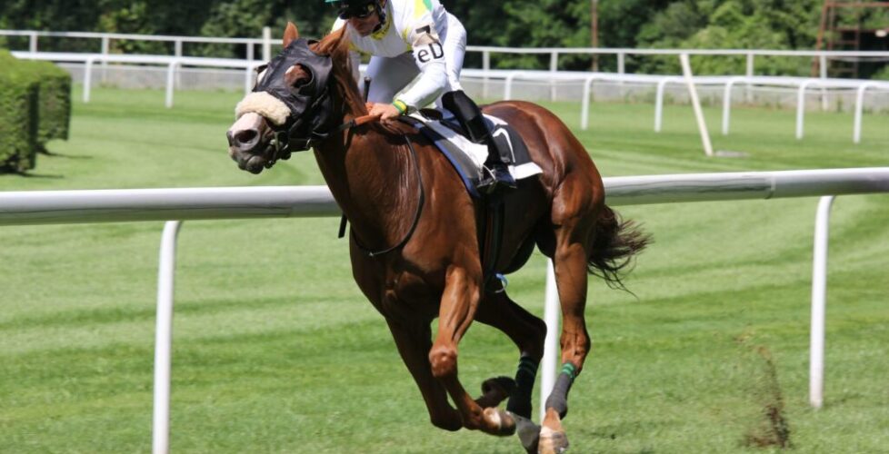 pexels-daniel-158976-scaled