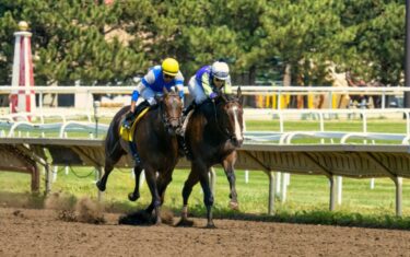 pexels-tom-fisk-13055808