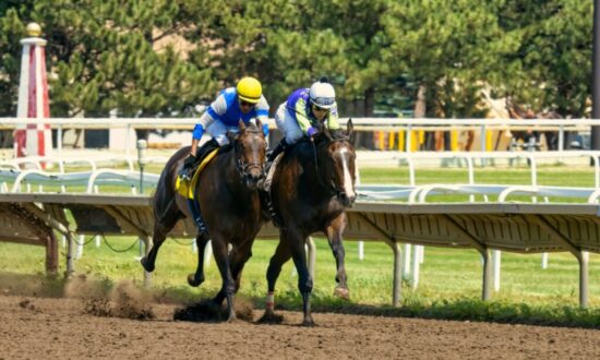 pexels-tom-fisk-13055808