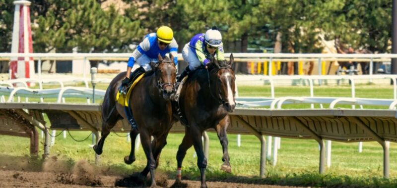 pexels-tom-fisk-13055808