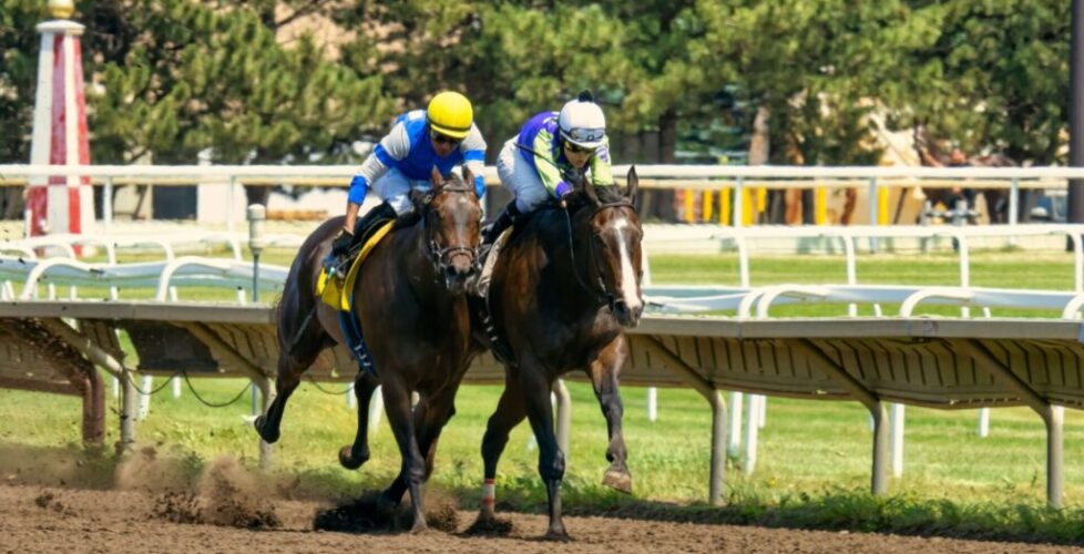 pexels-tom-fisk-13055808