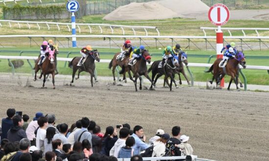 盛岡競馬-moriokakeiba