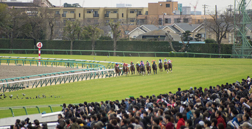 2025-天皇賞（春）