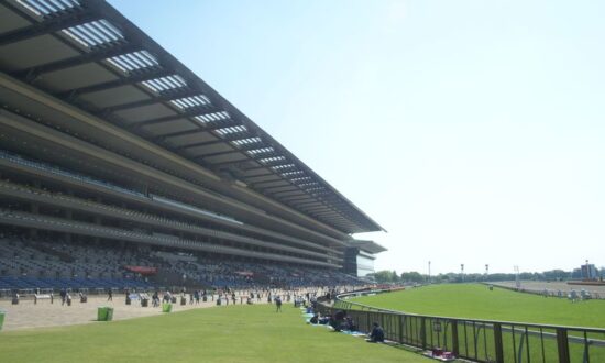 東京競馬場　ヴィクトリアマイル