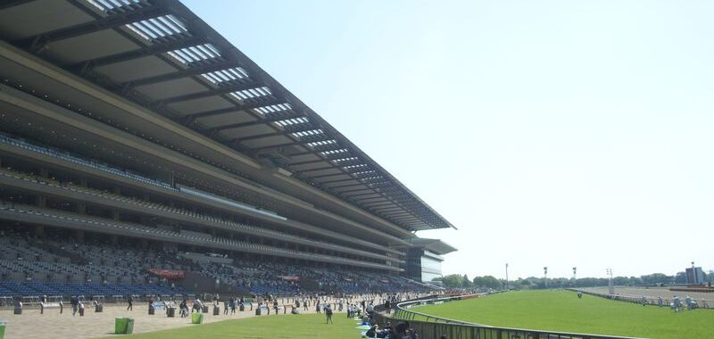 東京競馬場　ヴィクトリアマイル