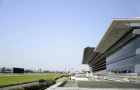 tokyokeibazyou-東京競馬場