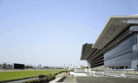 tokyokeibazyou-東京競馬場