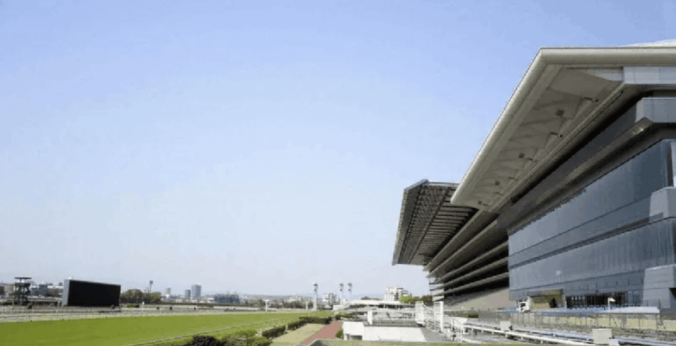 tokyokeibazyou-東京競馬場